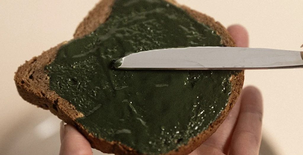 Spirulina key to fight malnutrition