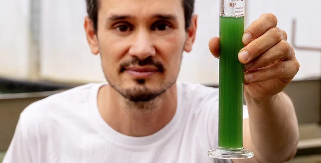 the spirulina blue green revolution