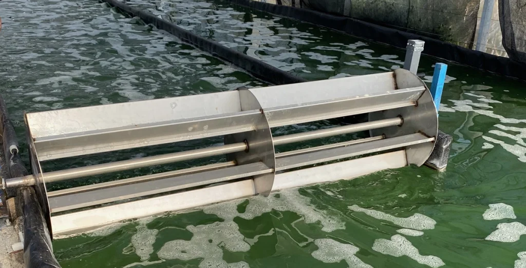 advantages of fresh spirulina Blauver