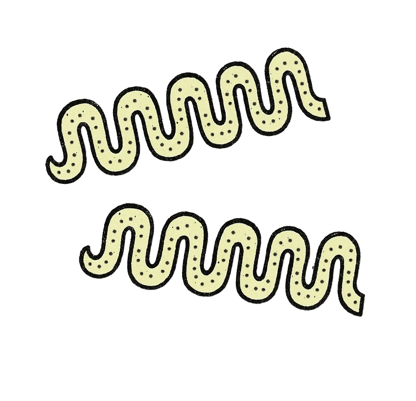 Espirulina viva