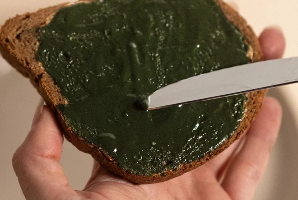 A que sabe la espirulina fresca