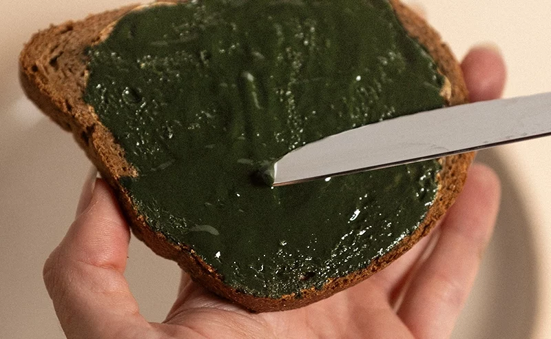A que sabe la espirulina fresca
