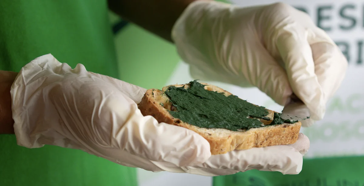 Espirulina fresca recién procesada y envasada por Blauver