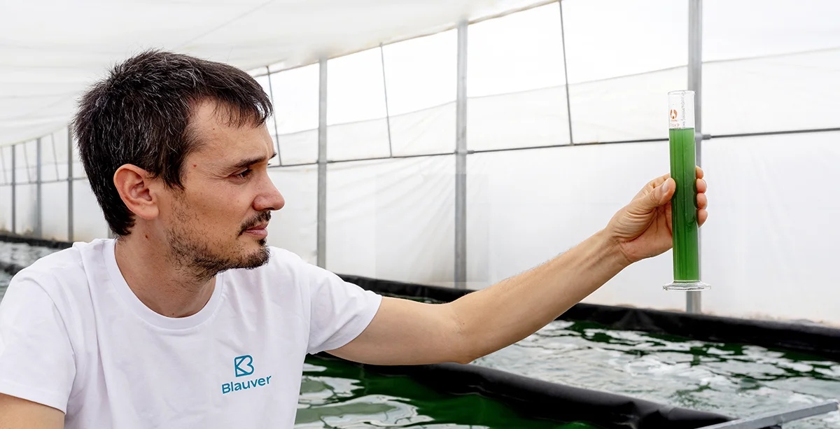 Interior del invernadero de cultivo de espirulina de Blauver en Lleida